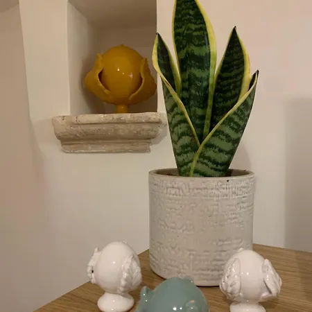 Impressioni In Valle D'itria Apartamento Martina Franca