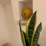 Impressioni In Valle D'itria מרטינה פרנקה