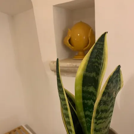 Impressioni In Valle D'itria Martina Franca