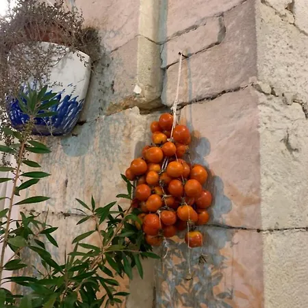 Impressioni In Valle D'itria Διαμέρισμα