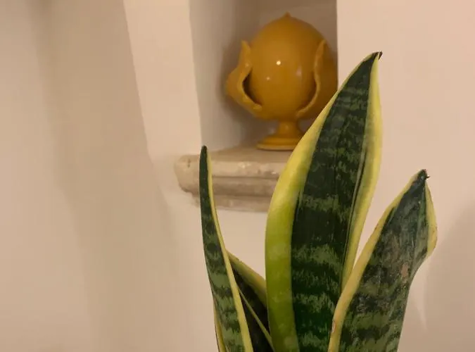 Impressioni In Valle D'itria Martina Franca