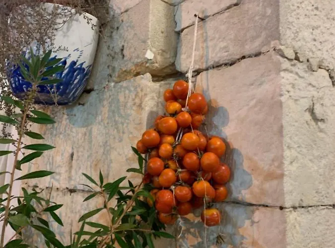 Impressioni In Valle D'itria Appartement